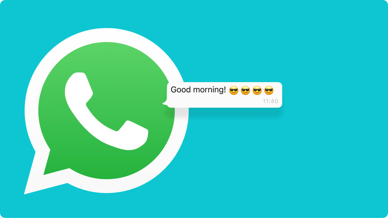 更新 WhatsApp 以解決 WhatsApp 語音無法播放的問題