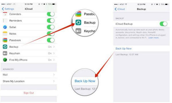 手動到備份通icloud的。