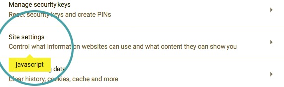 在 Chrome 中啟用 Javascript 進行修復