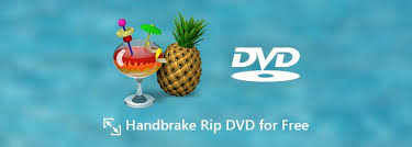 如何使用 HandBrake 將 DVD 轉換為 WMV