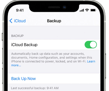 使用您的 iCloud 數據恢復並覆蓋當前照片