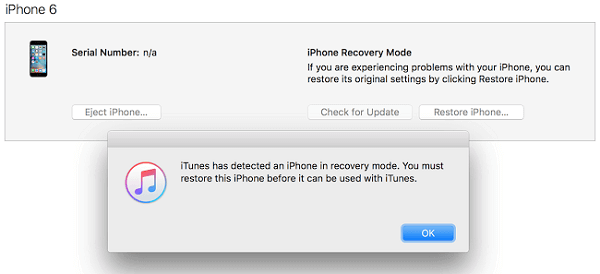 與iPhone在恢復模式，用於修復，密碼忘記