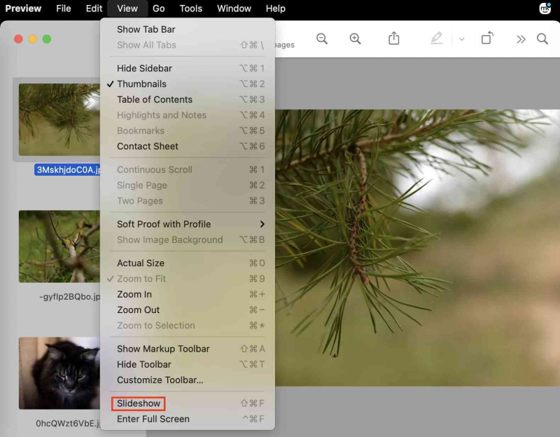 在沒有 iPhoto 但使用預覽應用程序的 Mac 上製作幻燈片