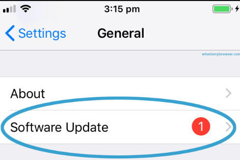 在 iOS 設備上運行更新