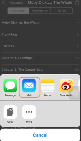 如何通過電子郵件將書籍從 iPhone 傳輸到計算機