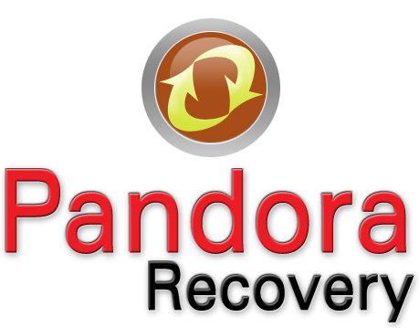 EaseUS數據恢復替代方案：Pandora恢復