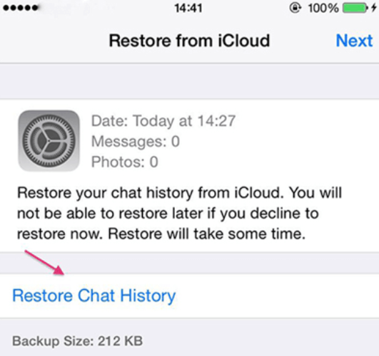 在 iOS 上恢復已刪除的 WhatsApp 消息