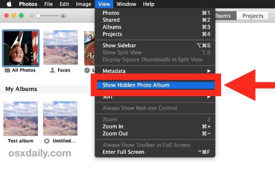 在 Mac 上顯示隱藏的相冊