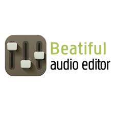 使用 Beautiful Audio Editor 在 Chromebook 上錄製音頻