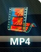Instagram 視頻轉換器 - 視頻轉換器.MP4