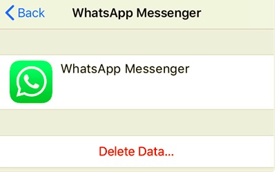 刪除 WhatsApp iCloud 數據以清除 WhatsApp 備份
