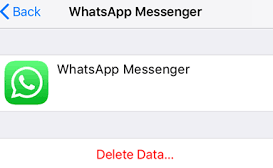 刪除 iCloud WhatsApp 備份數據